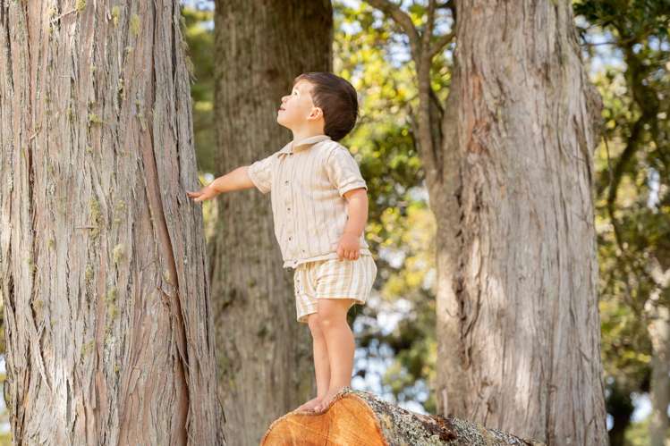 Lots 1-22 Kukupa Rise Ngararatunua_6