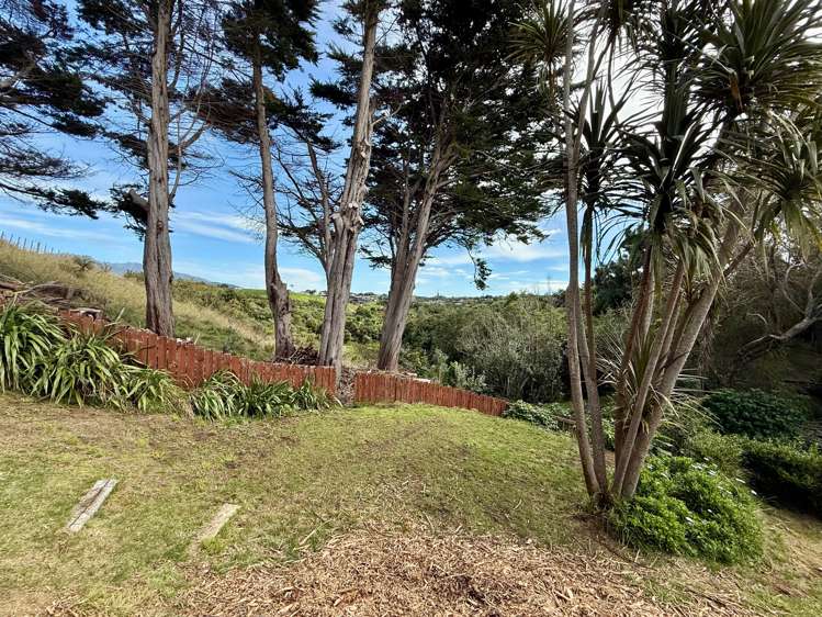 91D Greenslade Rd Raglan_40