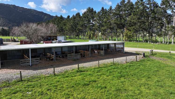 57 Ohutu Road Galatea_6