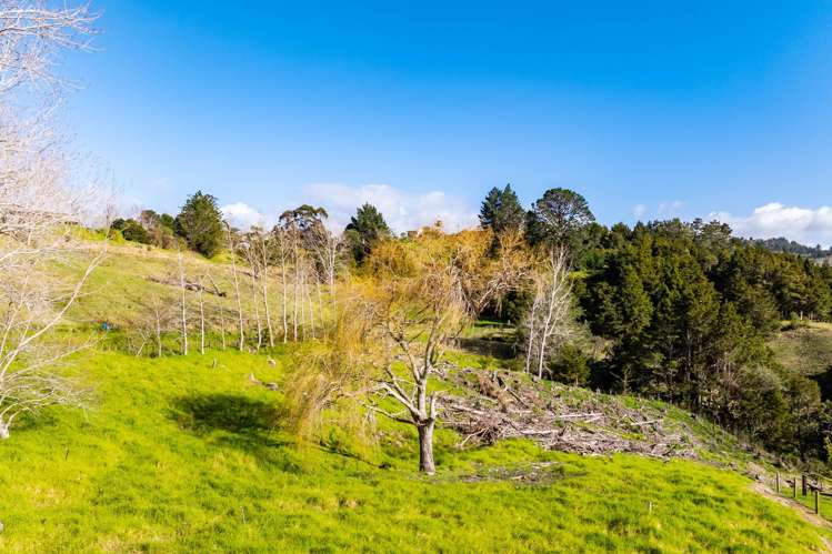 181A Old Parua Bay Road Abbey Caves_13