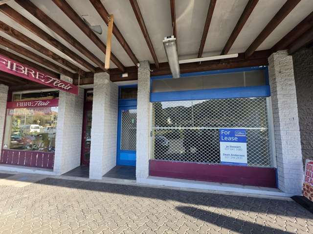 52 Main Road Waikanae_1