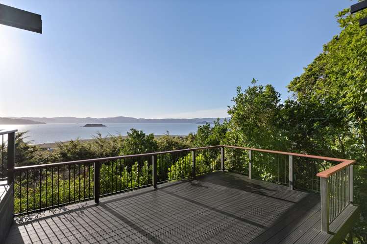 11 Karaka Street Eastbourne_13