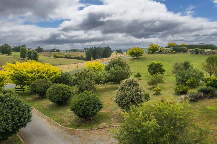 33 Jg Wilson Drive Waipukurau and Surrounds_21