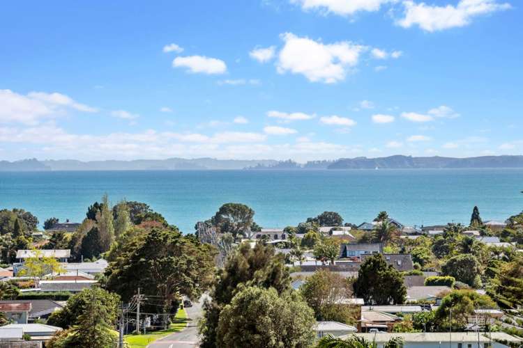 4 Ladies Mile Manly_15