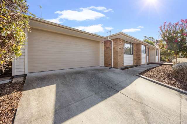 169c Colwill Road Massey_3