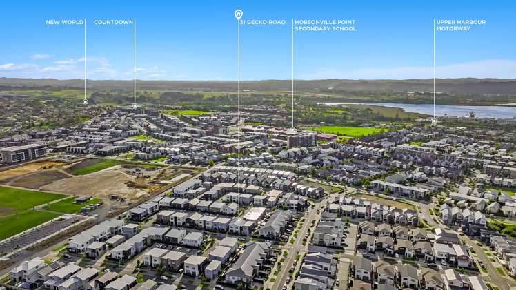 31 Gecko Road Hobsonville_15