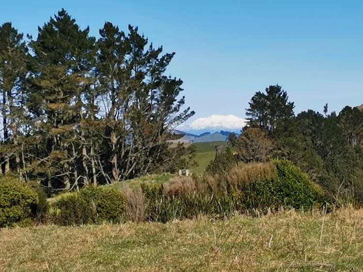 213 Forest Road Oruanui_1