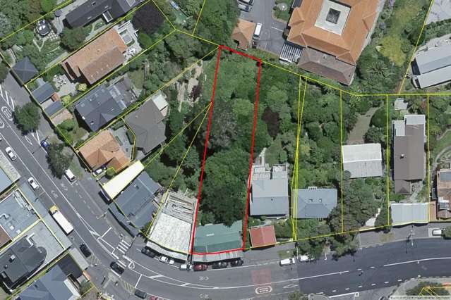 Unique Retail Investment /Development  Opportunity in Vibrant Kelburn