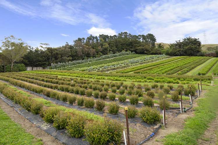 36A Horotane Valley Road Heathcote Valley_23