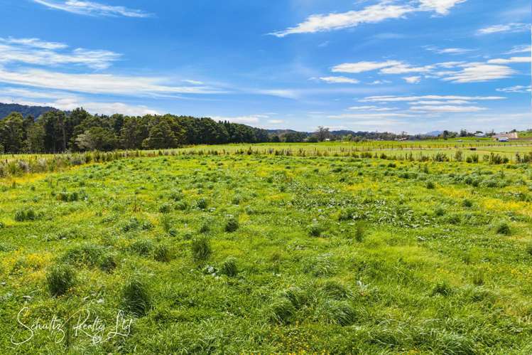 Maggies Lane Waipu_34