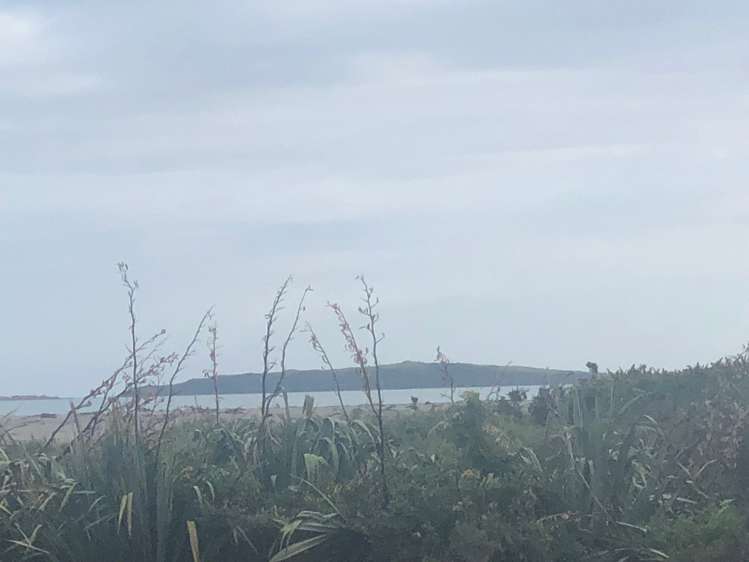 77 Johnston Crescent Haast_6