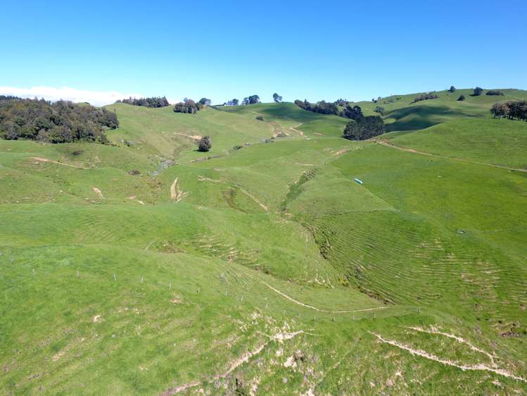 104 Tapuae Road Honikiwi_47