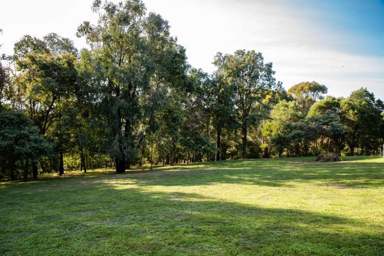 94 Enfield Drive Pakipaki_19