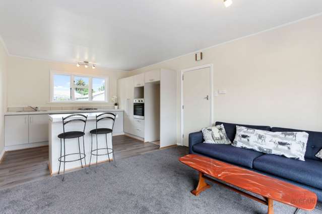 47 Wainoni Road Wainoni_1