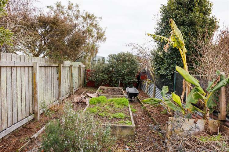 68 Phillips Street Sanson_31