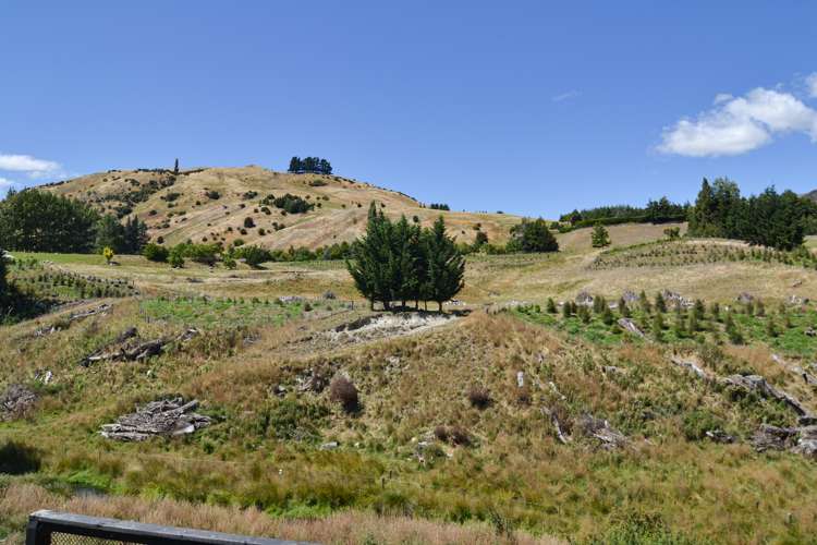 5 Longlands Street Dalefield/Wakatipu Basin_13