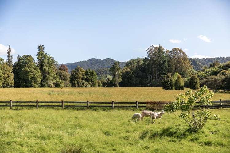 209 Franklin Road Waihi_24