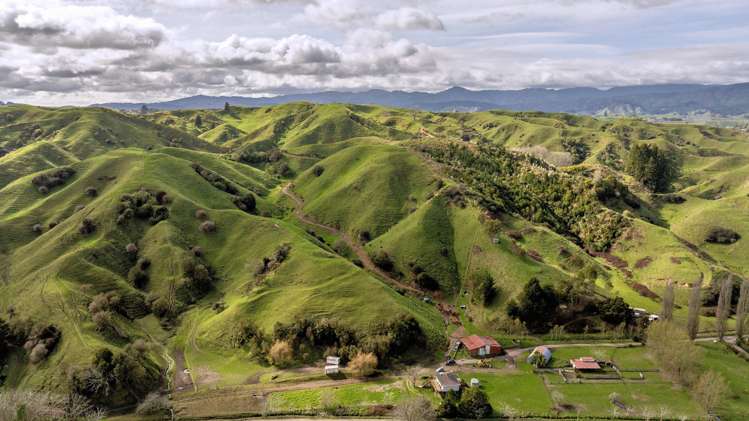 169 Addison Road Waimana_9