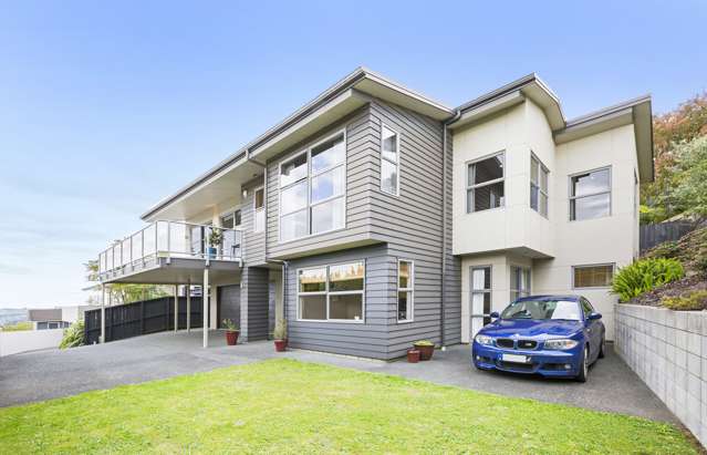 4c Routly Avenue Pukekohe_4