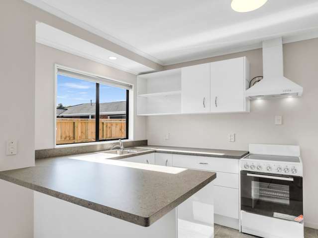 28 Freyberg Street Roslyn_2