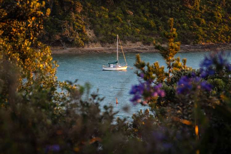 18 Esslin Road Surfdale_24