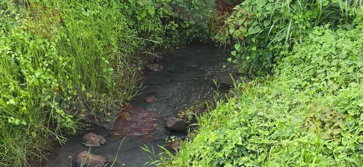 Address withheld Labasa_10