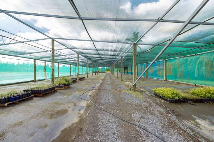 389 Old Highway Whakamarama_20