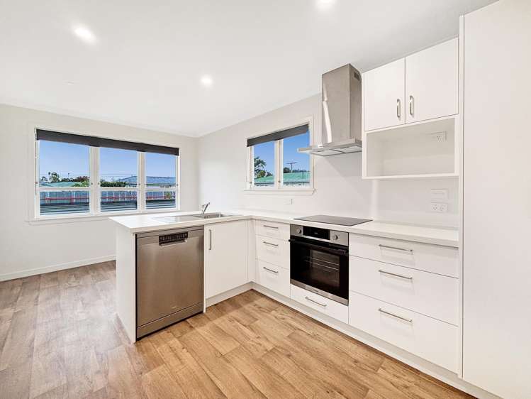 31A Wildish Street Outer Kaiti_13