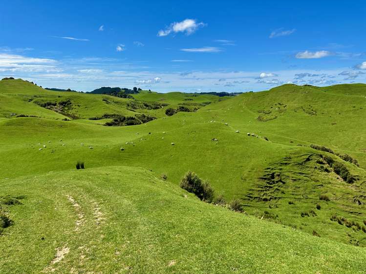 1371 Rangitatau Road Brunswick_12