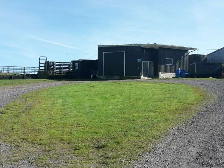 346 Rugby Road Tariki_36