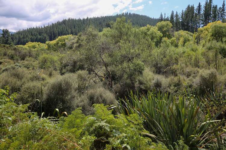 538 Waiwhero Road Ngatimoti_31