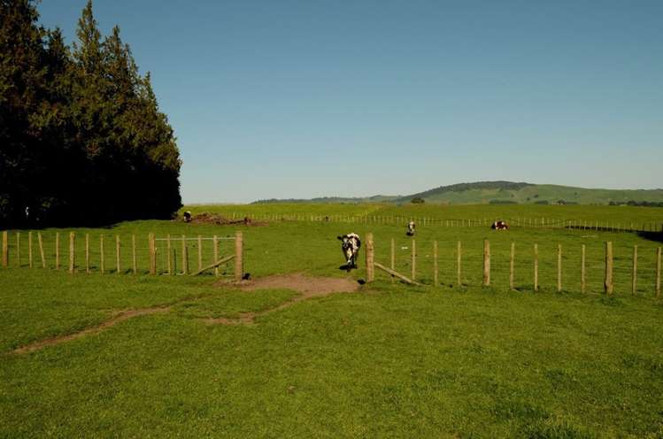 254 Paerata Road Tirohanga_13