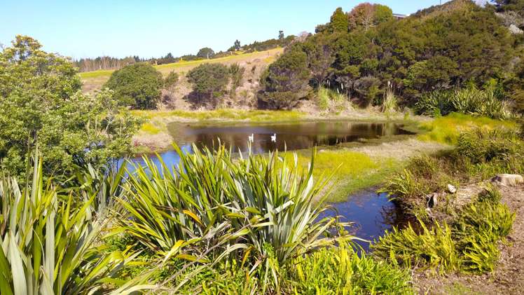 51 Cullen Road Waipu Cove_10