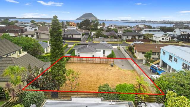 48a Ngatai Road Otumoetai_2