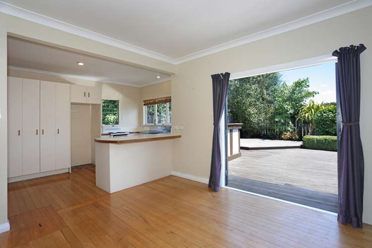 11b Johnson Street Bulls_5