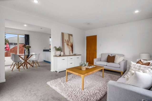 17 Broadbent Street Riccarton_3