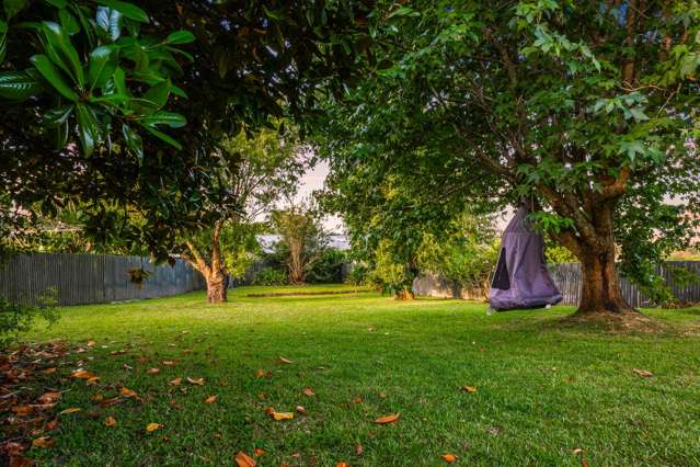 56 Colwill Road Massey_3