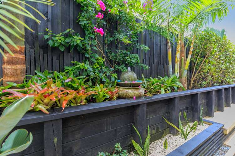 44b Armadale Road Remuera_31