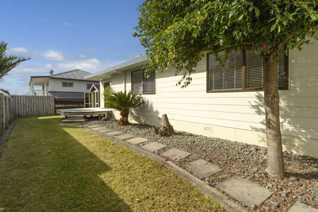 465b Ngatai Road Bellevue_1