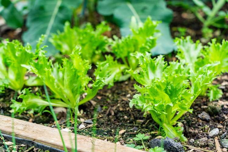 73 Ranganui Road Kaiwaka_44