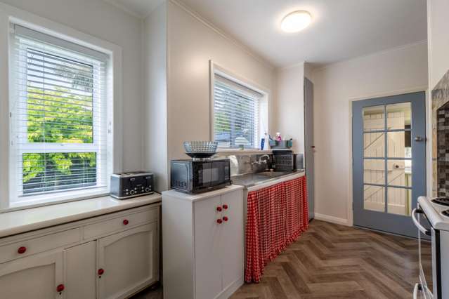 378 Tweed Street Georgetown_3