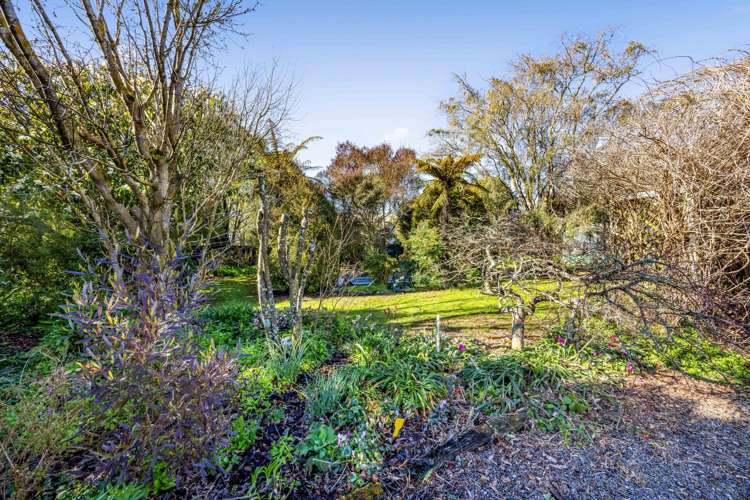 35 Smith Street Waverley_42