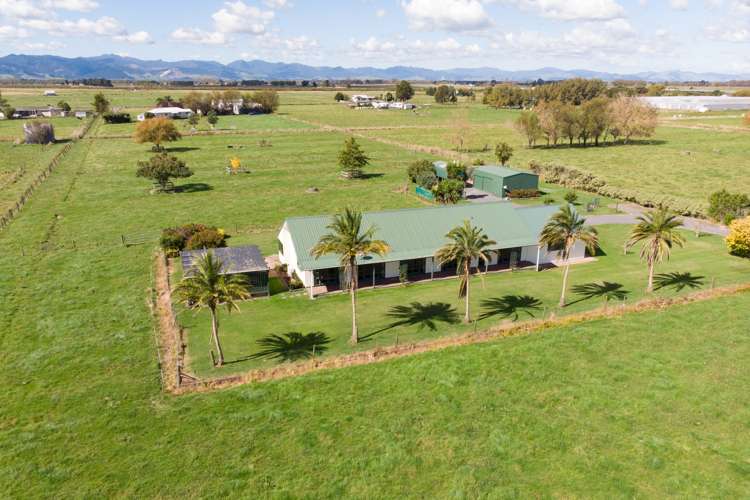 46 Arawa Street Pipiroa_17