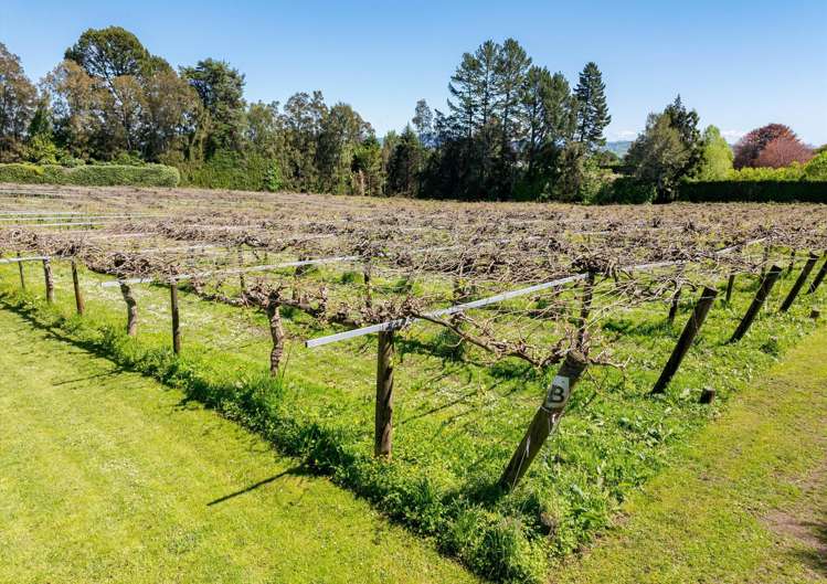 668 Pyes Pa Road Pyes Pa_2