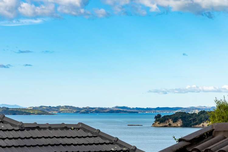 314 Riddell Road Glendowie_9