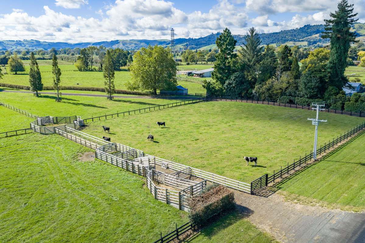 299, 1/289 2/289 Thornton Road_1