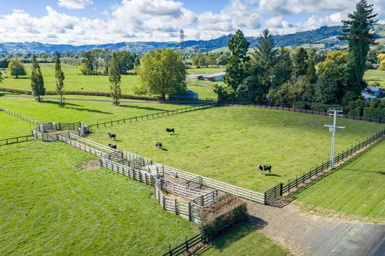 299, 1/289 2/289 Thornton Road Cambridge_5