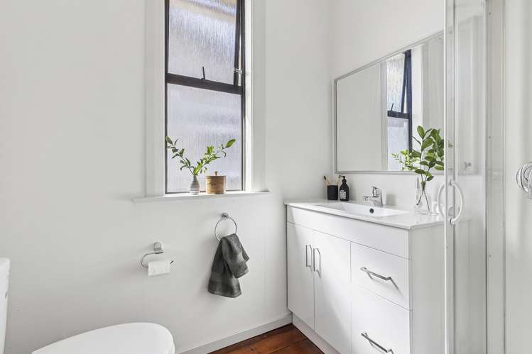 59 Rotherham Terrace Miramar_14