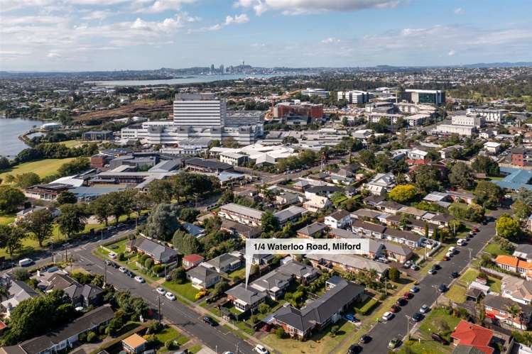 1/4 Waterloo Road Milford_17