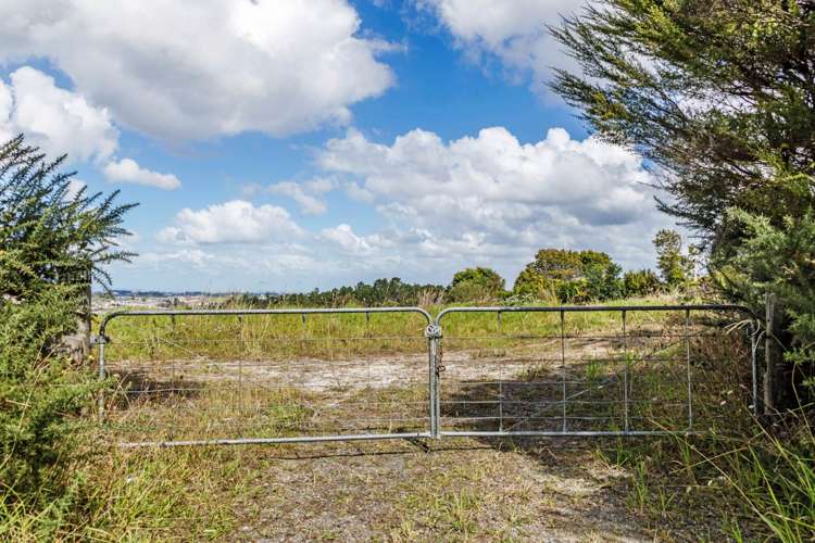 251 Lonely Track Road Albany Heights_8